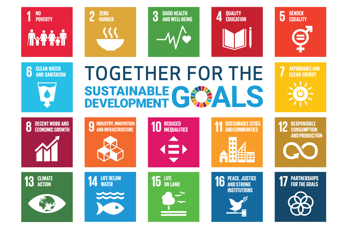 SDG Flag SDG Flag
